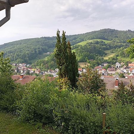 Das Tor Zum Odenwald Gorxheimertal Eksteriør bilde