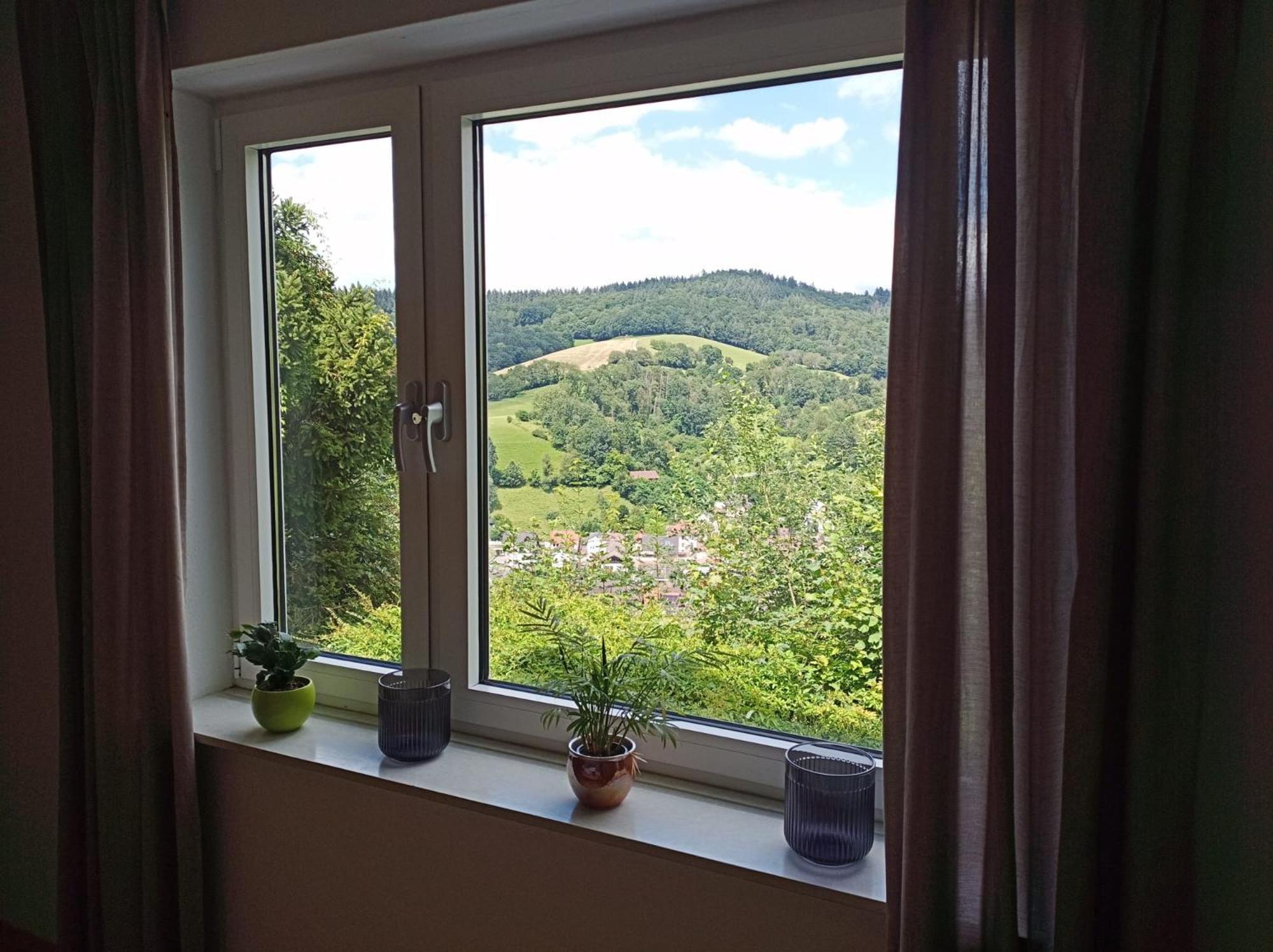 Das Tor Zum Odenwald Gorxheimertal Eksteriør bilde