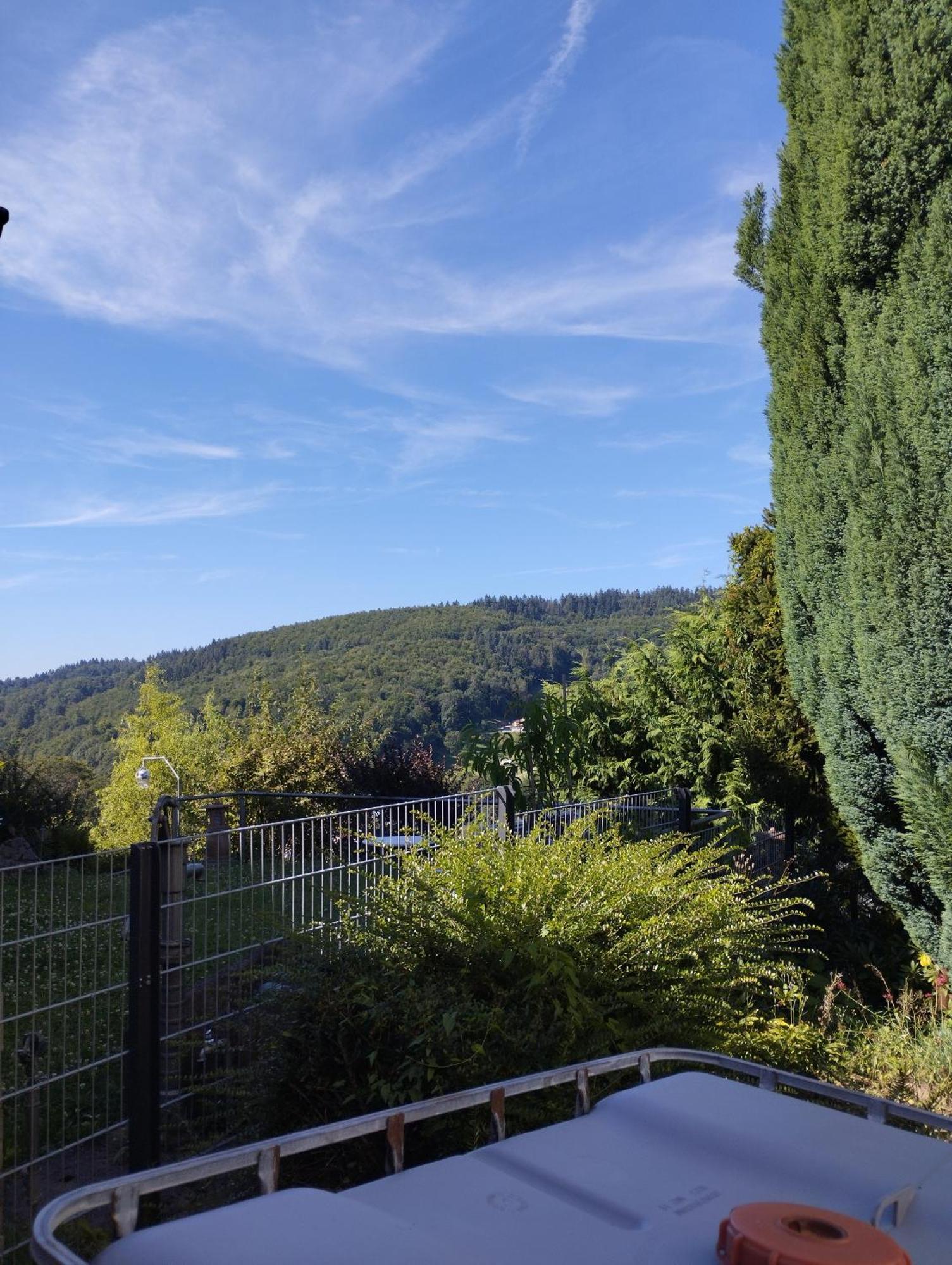 Das Tor Zum Odenwald Gorxheimertal Eksteriør bilde