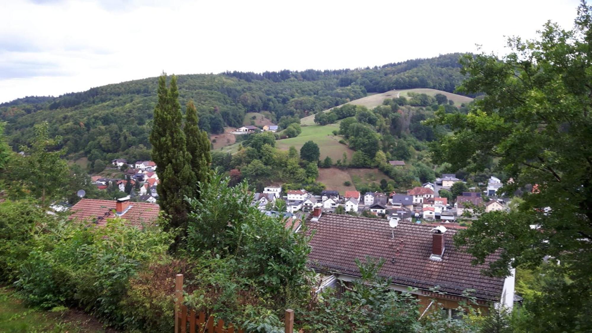Das Tor Zum Odenwald Gorxheimertal Eksteriør bilde