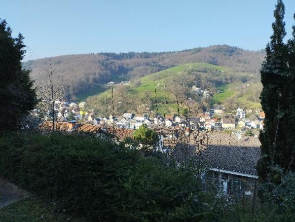 Das Tor Zum Odenwald Gorxheimertal Eksteriør bilde